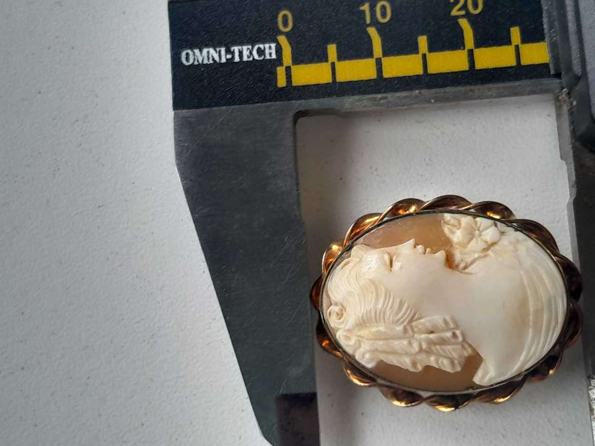 Vinatge camoe pentant/ brooch