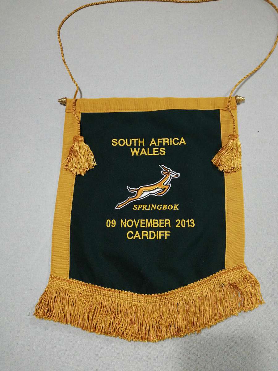 Springboks vs Wales 09.11.2013