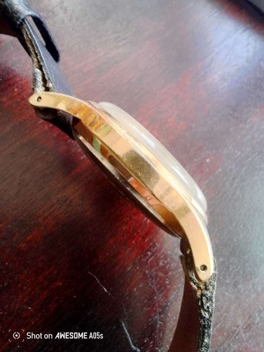 Roamer Brevetè manual