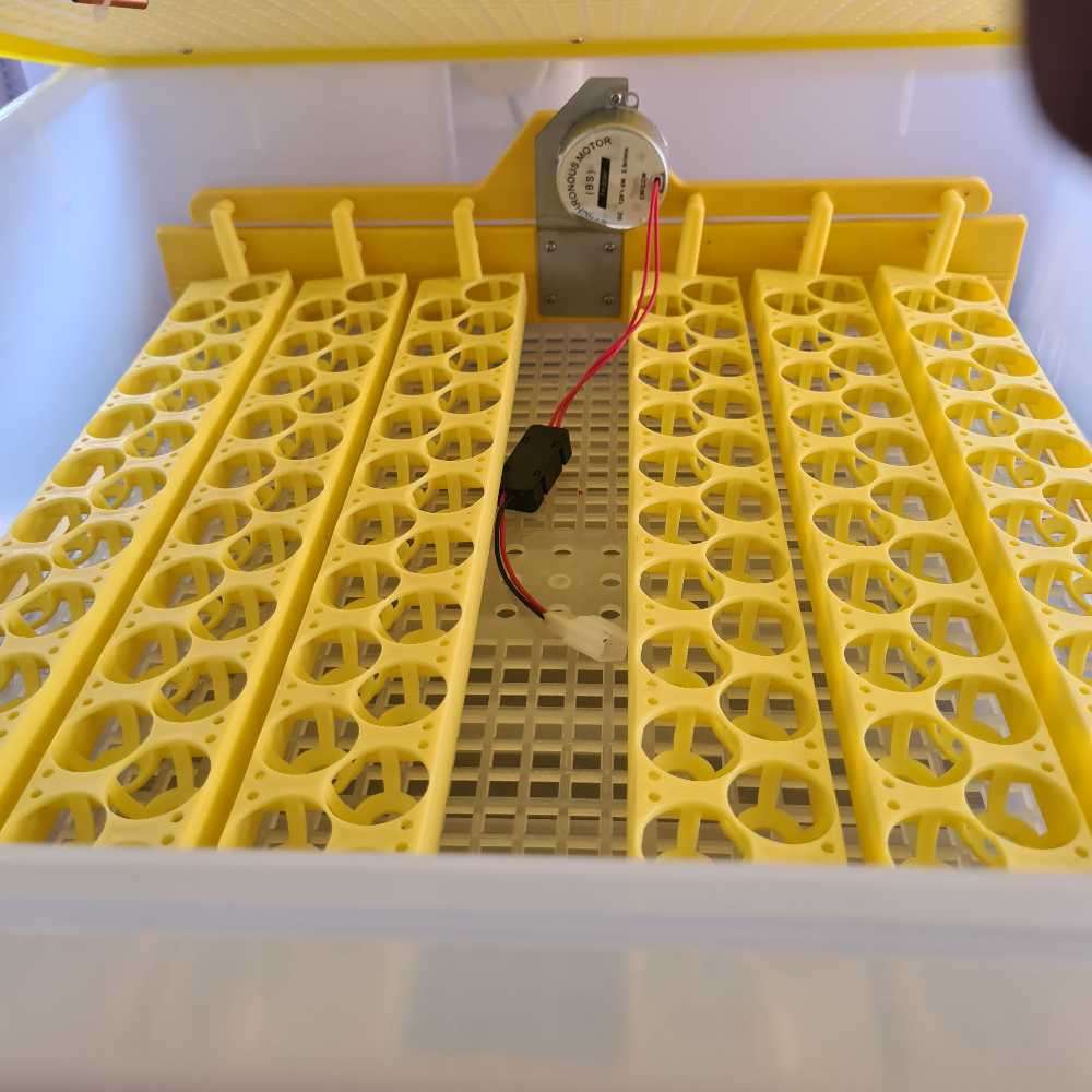 56 Egg Incubator + 12 Volt (Poultry business)