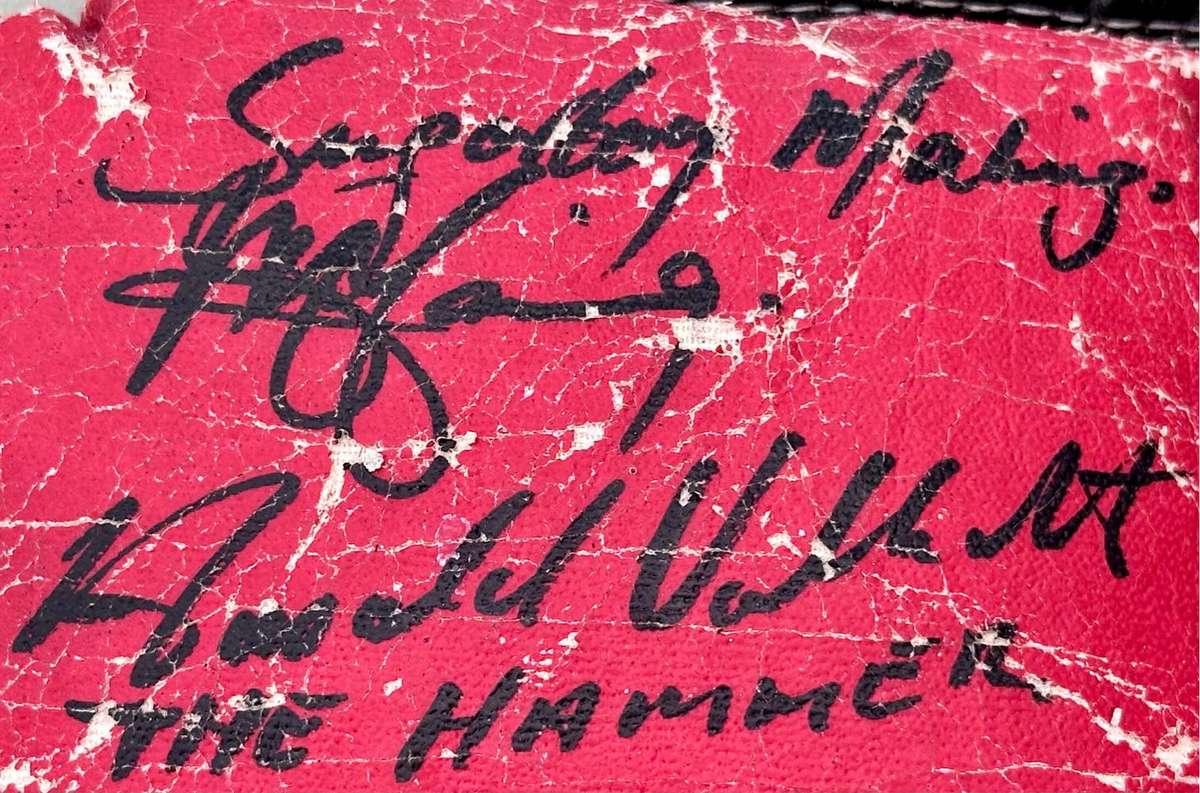 Vintage Autographed Boxing Gloves (Includes Jacob `Baby Jake` Matlala)