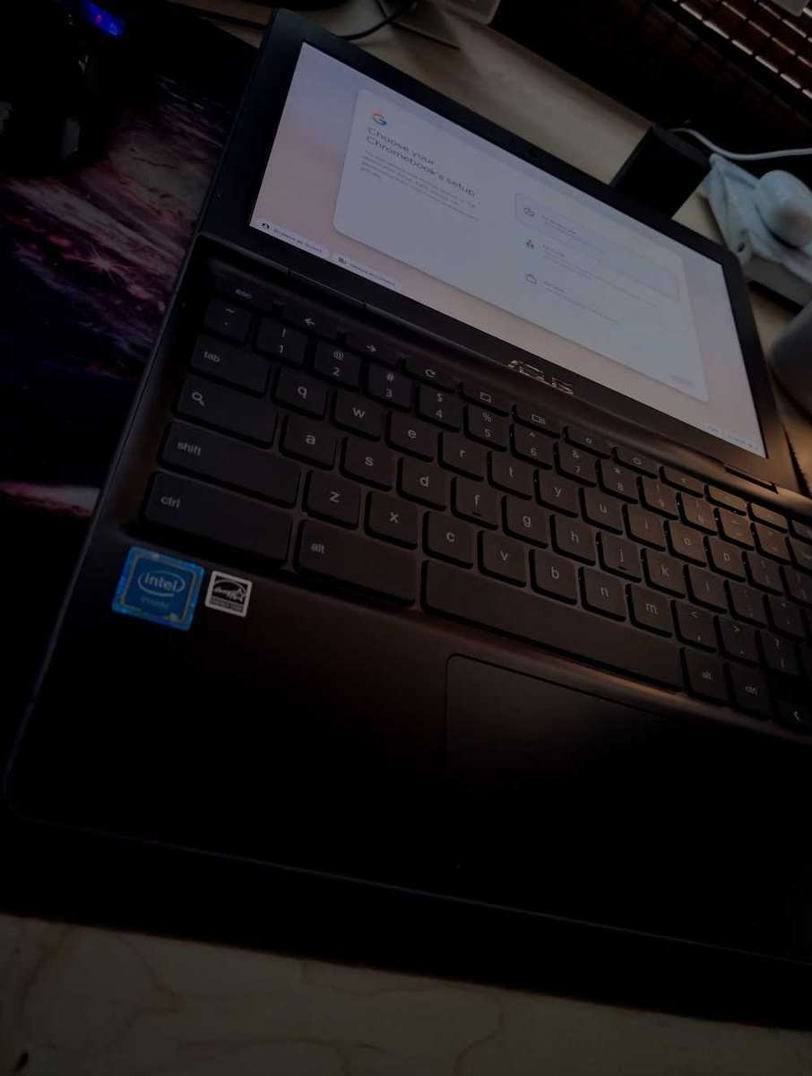 Asus chromebook C204M