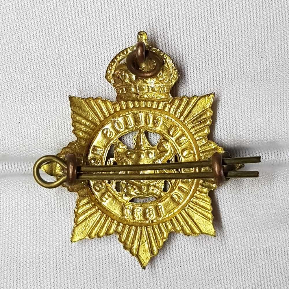 1877 Kimberley Diamond Fields horse badge
