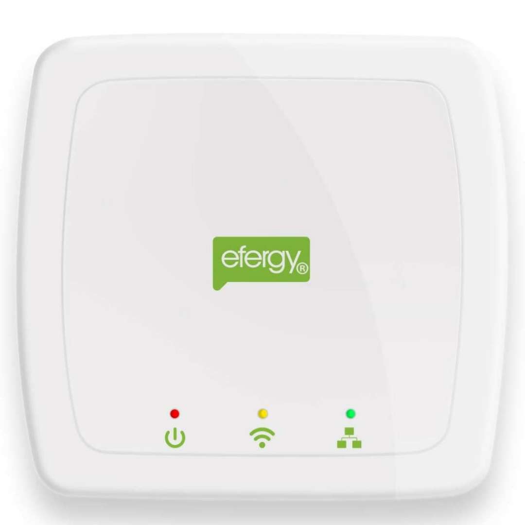 Ellies Efergy Engage Hub Only