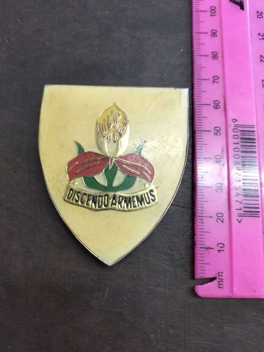 SA Army Military Academy Flash