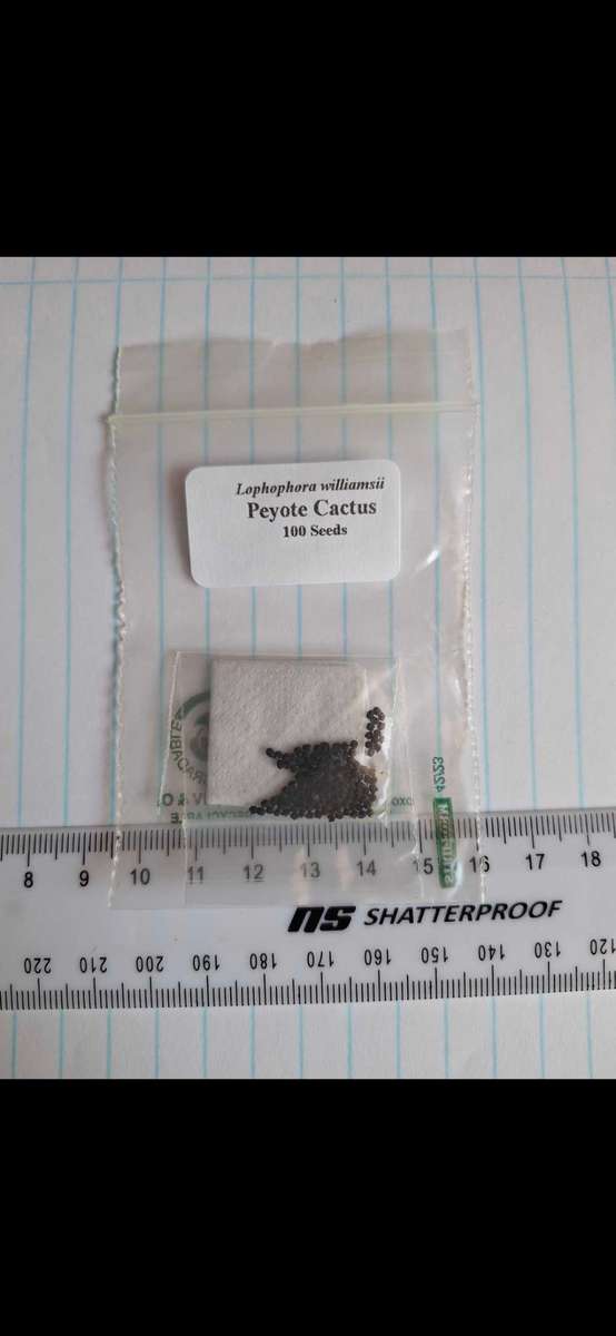 Lophophora williamsii (Peyote Cactus) 100x Seed Pack (Spacial Offer!!)