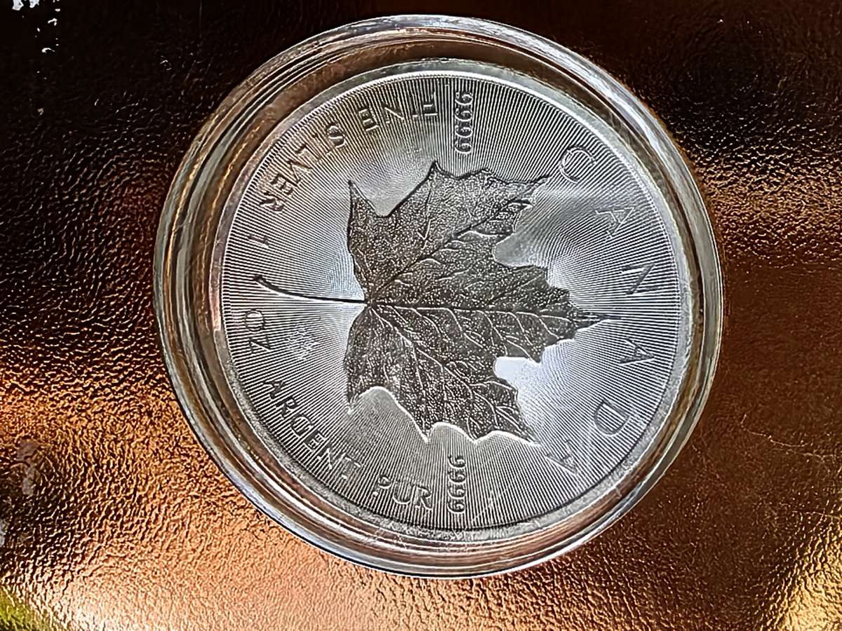 1oz 99.99% Silver Coins