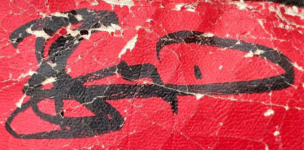 Vintage Autographed Boxing Gloves (Includes Jacob `Baby Jake` Matlala)