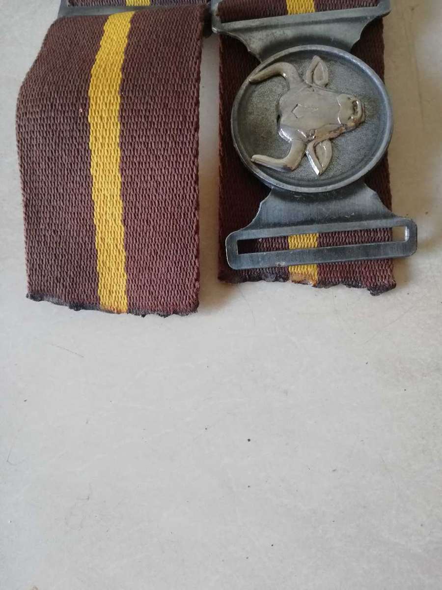 116 Batallion stable belt