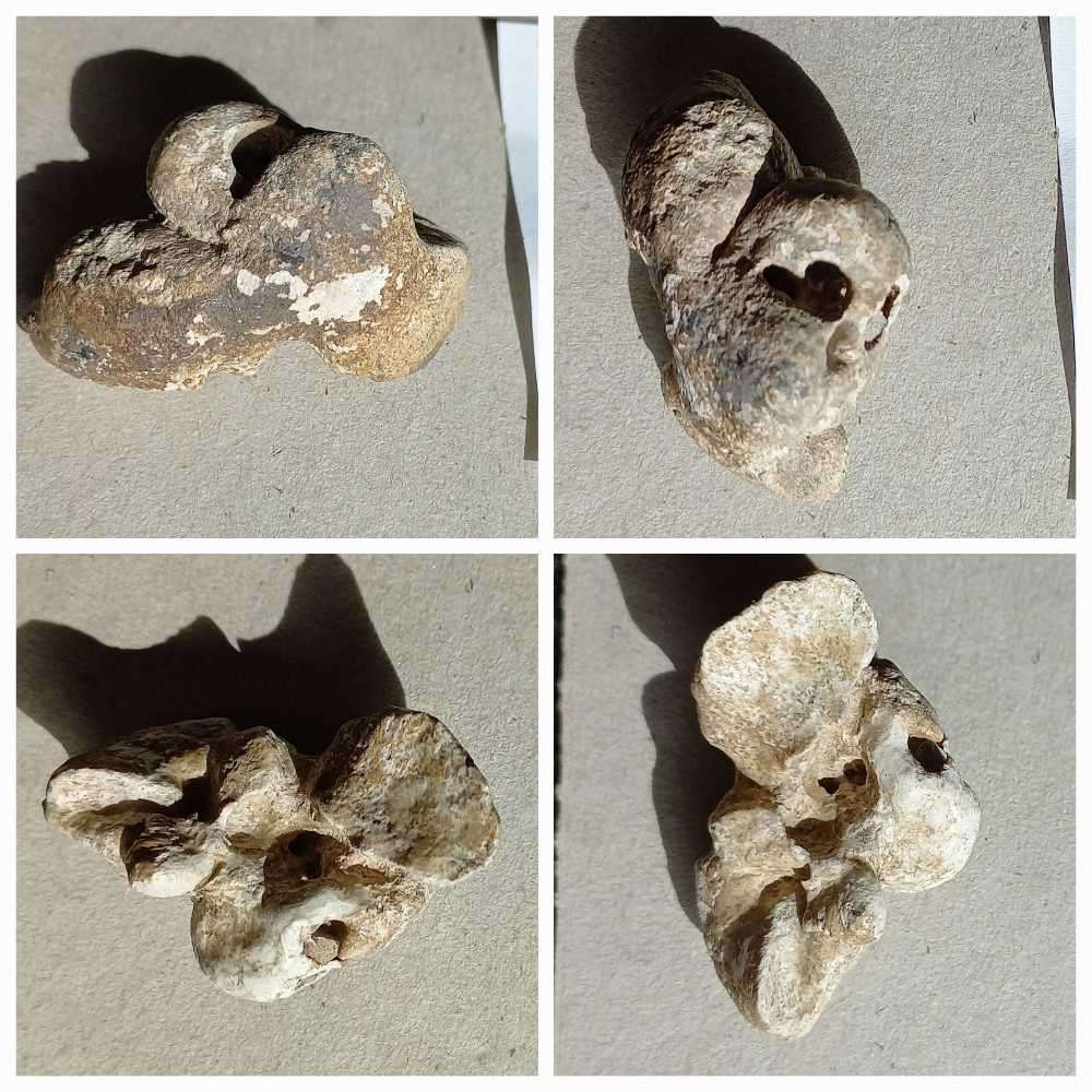 Tektite meteorite, Volcanic stones/beads, Fossils, Indian arrow point