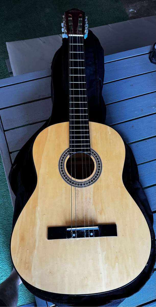 Acoustic Guitar and Bag