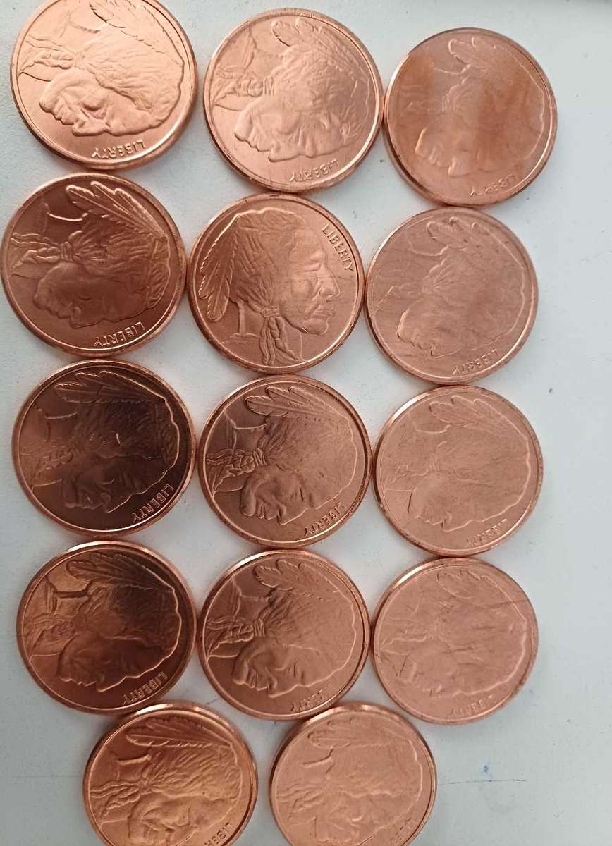 14x 1oz Copper American Indian Head and Bull coin bid per coin