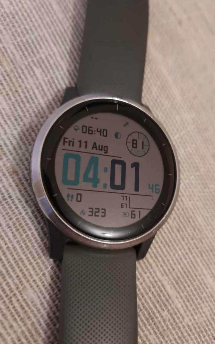 Garmin Vivoactive 4 Smartwatch