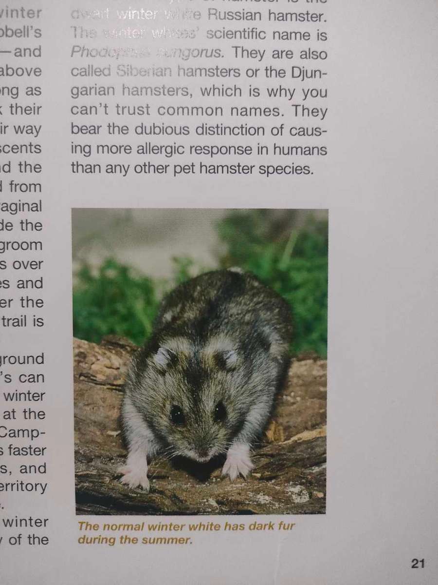 Tha Hamster Handbook