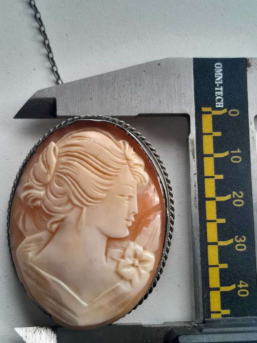 Beautifull vinatge Camoe in 925 Silvier