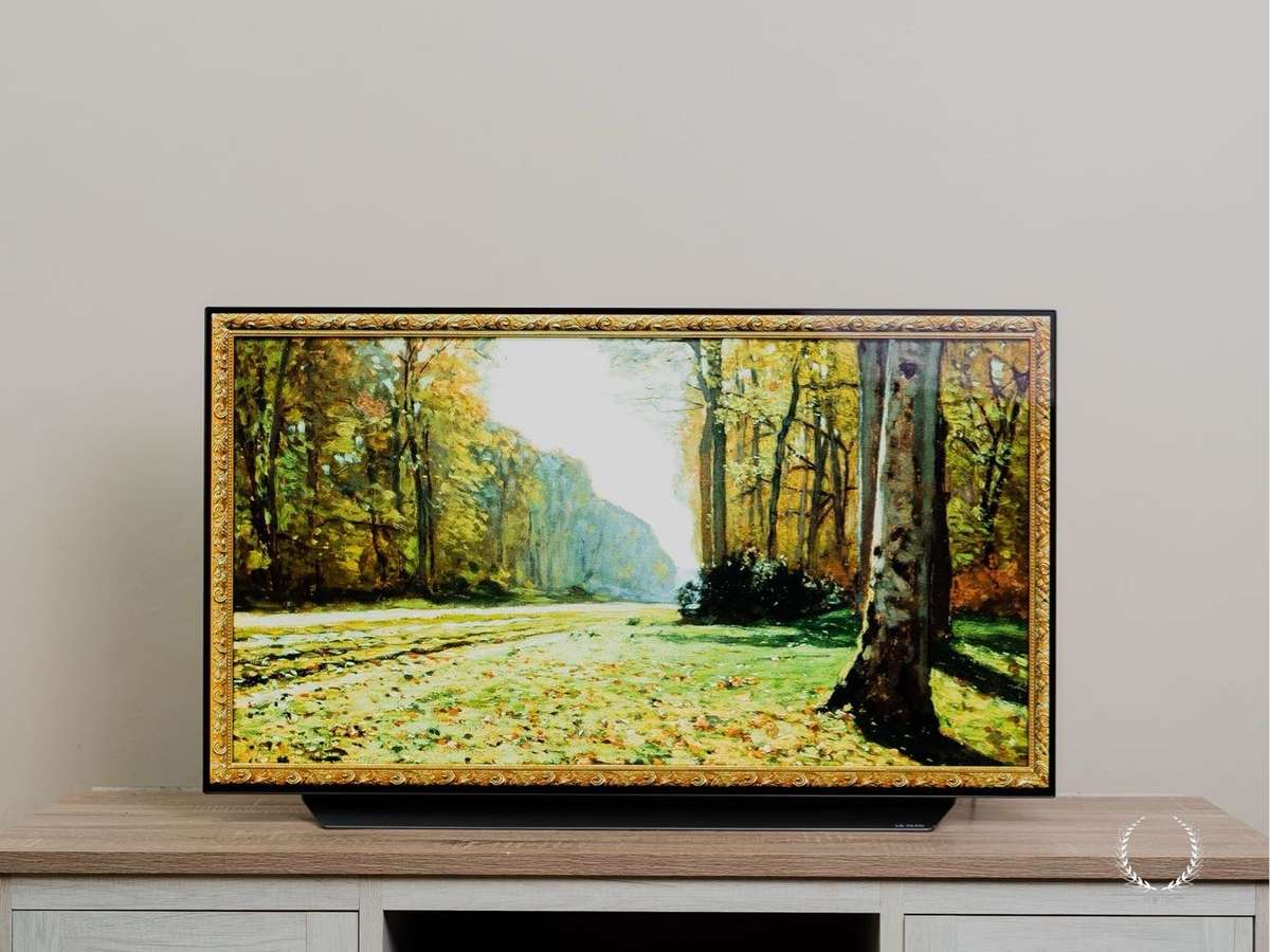 LG OLED 4K/UHD Smart TV C1