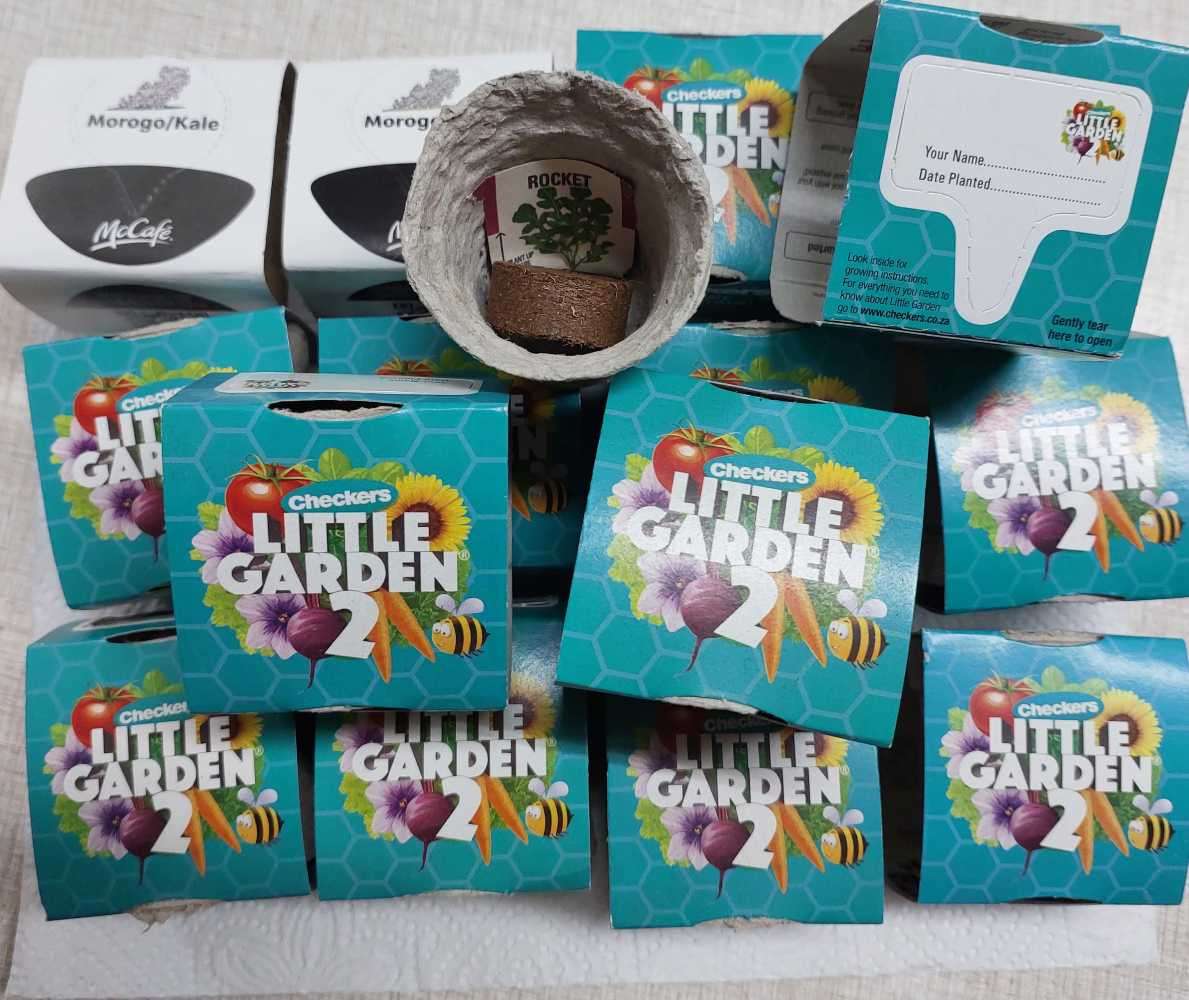 Checkers Little Garden 2