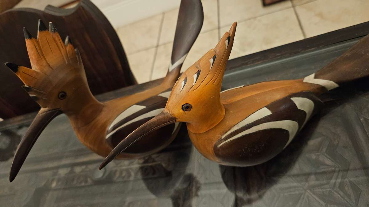 Feathers of Knysna Hoopoe set no.1239 & no. 244