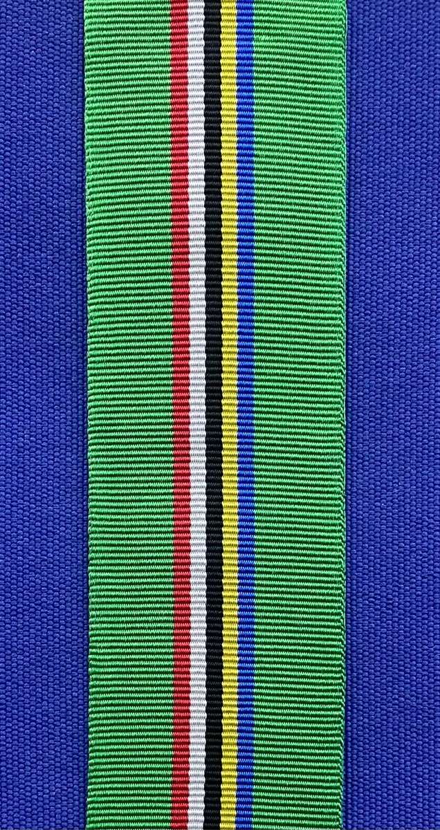 40 year long service medal 3rd type ( 300mm)