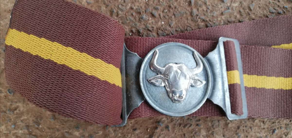 116 Batallion stable belt