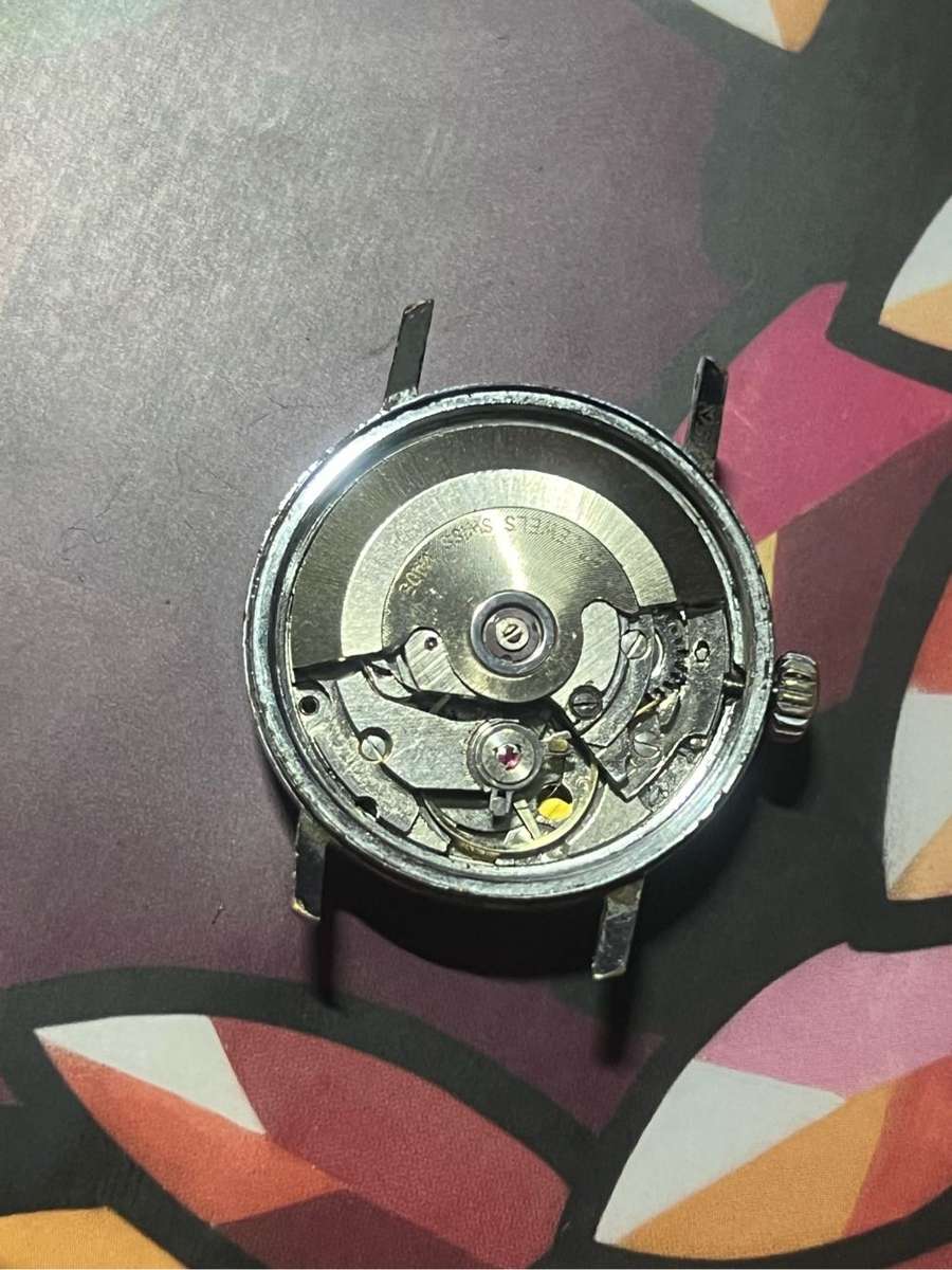 Vintage rotary watch