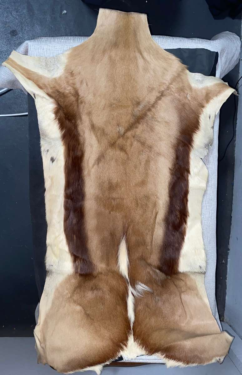 Springbok Tanned Hide