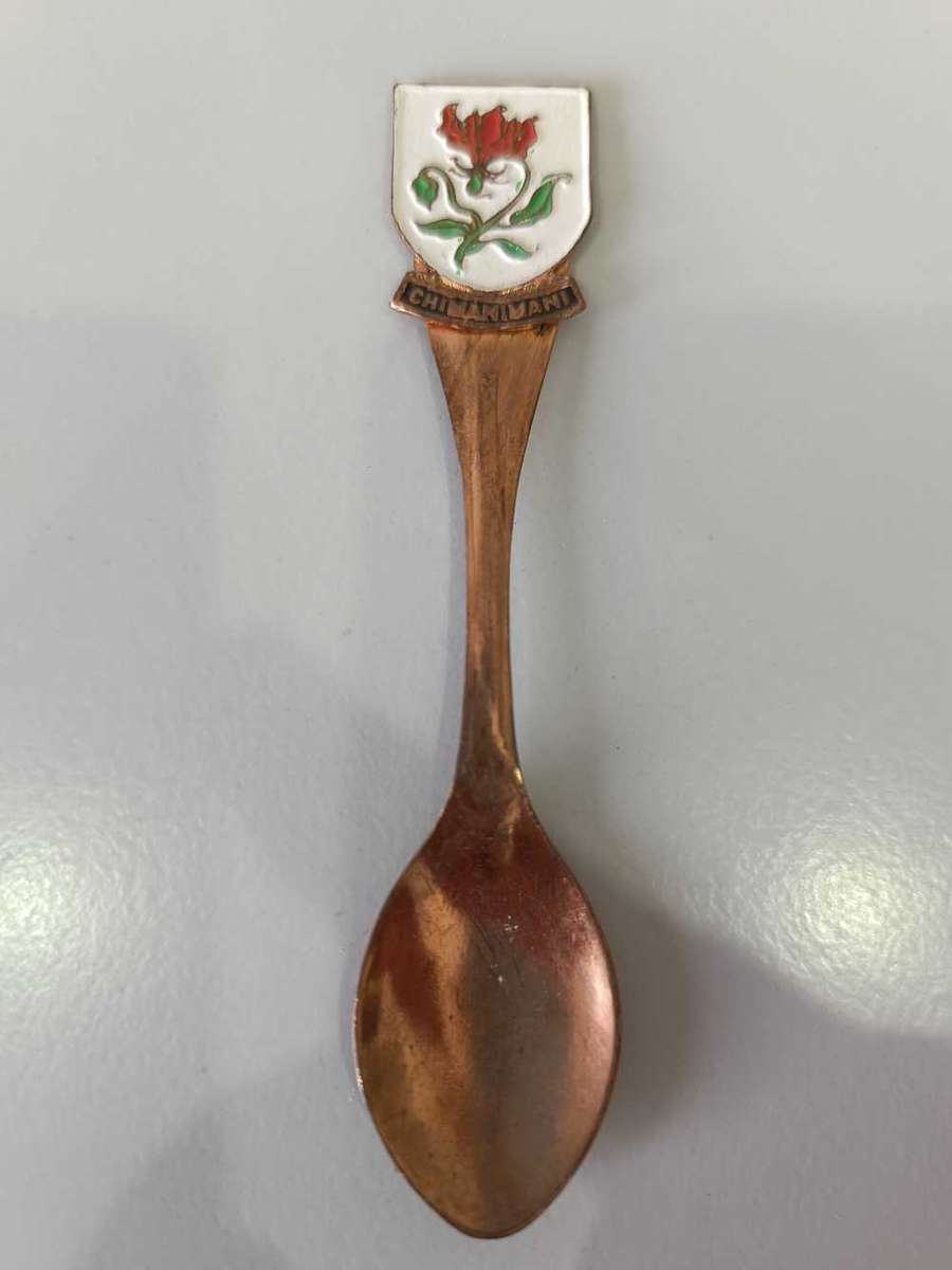 Chimanimani spoon