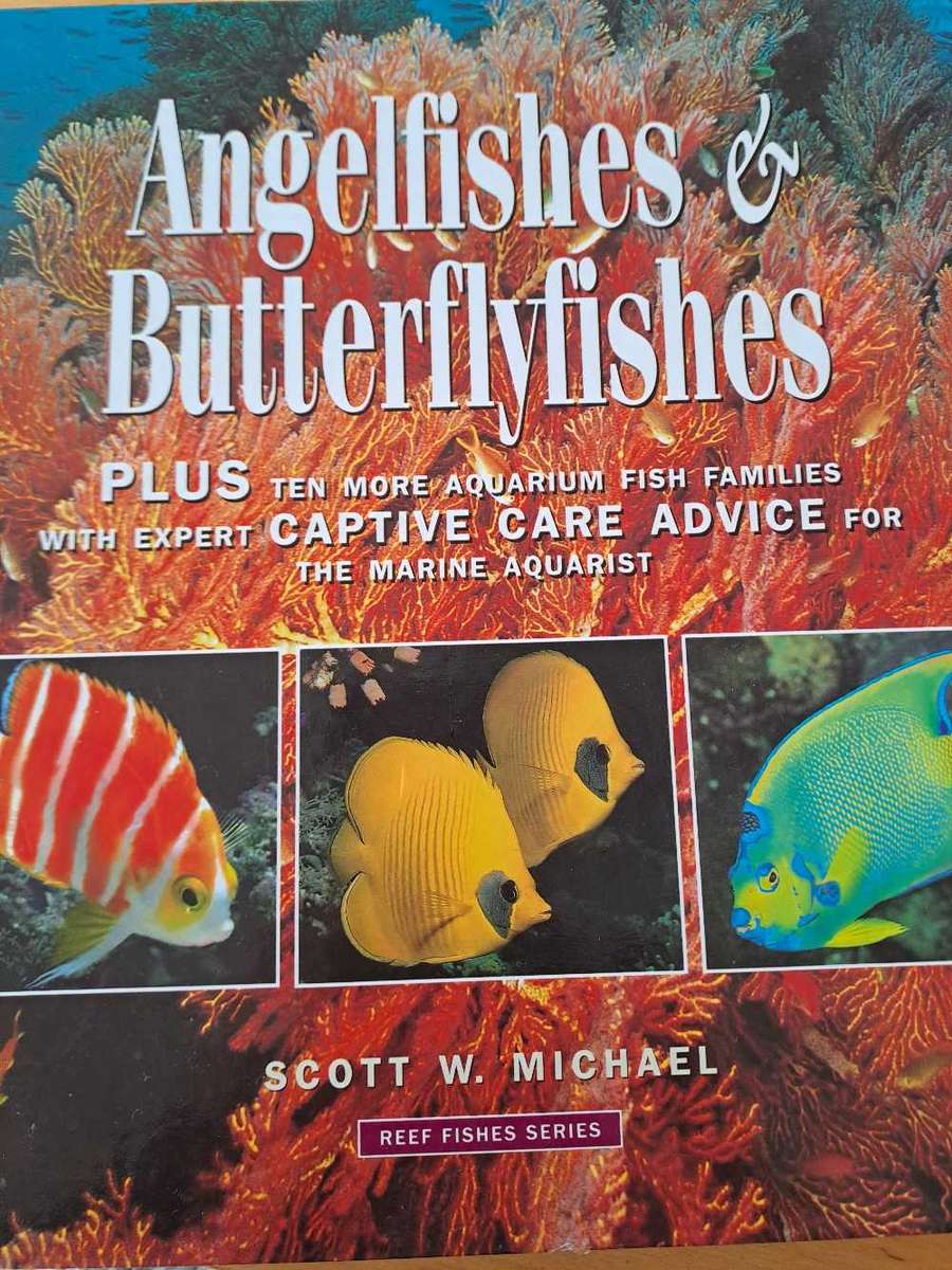 ANGELFISHES &BUTTERFLYFISHES .  By Scott Michael