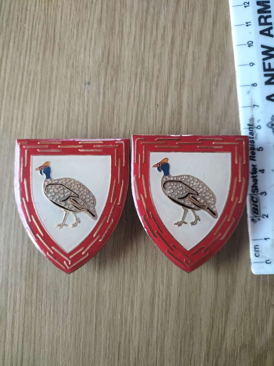 SA Army Flash Combo (2x Items)