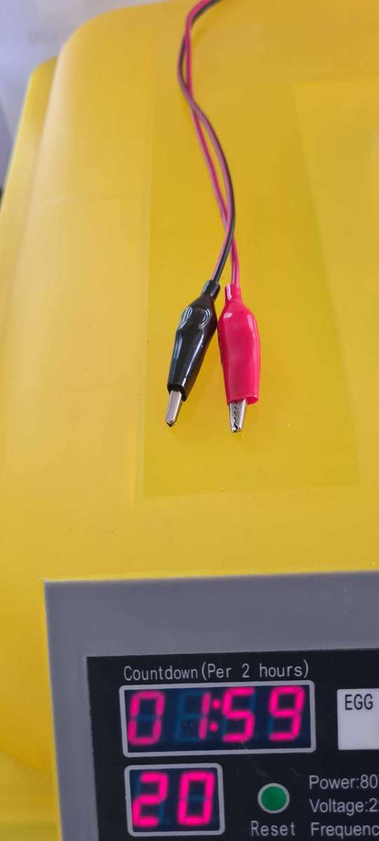 56 Egg Incubator + 12 Volt (Poultry business)