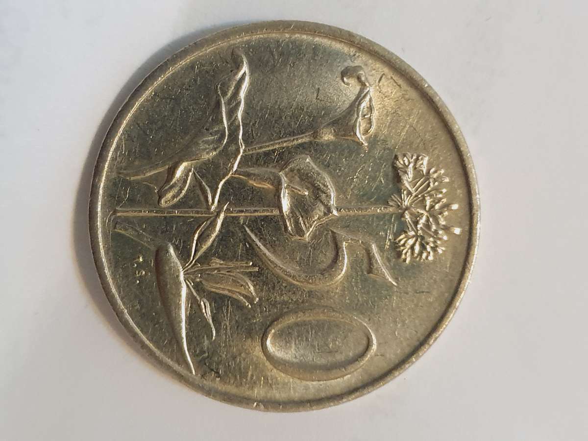 South Africa - 1979 50c - Afrikaans Coin
