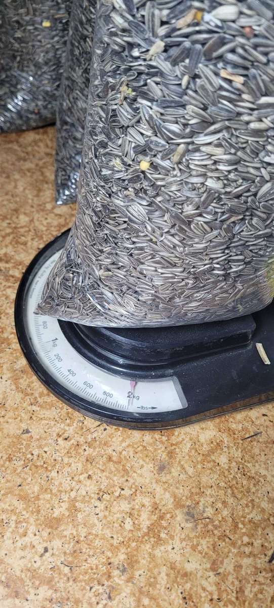 2Kg Budgie Bir Feed (Bid Per Pack)