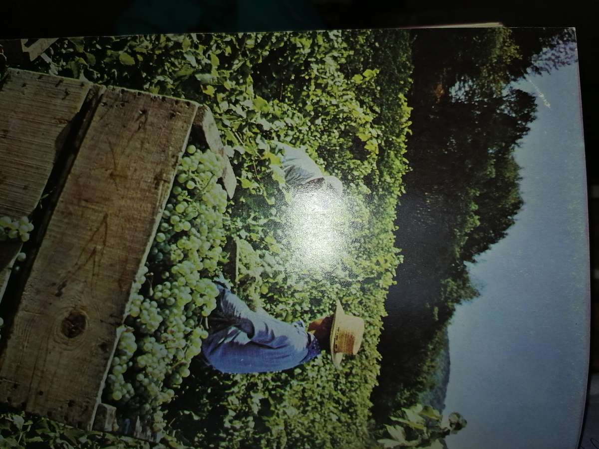 LARGE THICK BOOK - WINES OF THE WORLD - 714 PAGES