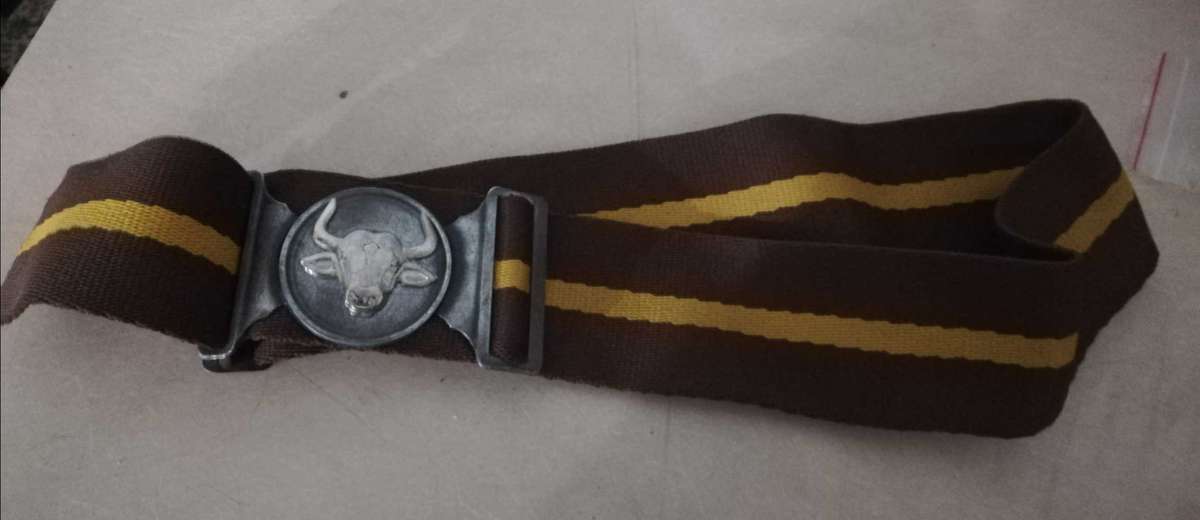 116 Batallion stable belt