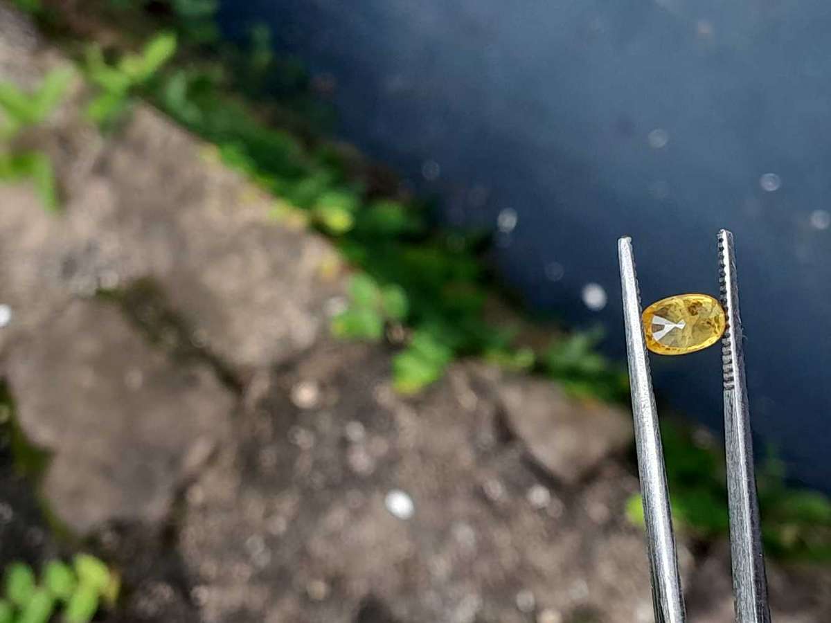 Natural 1.71 Ct Yellow Sapphire