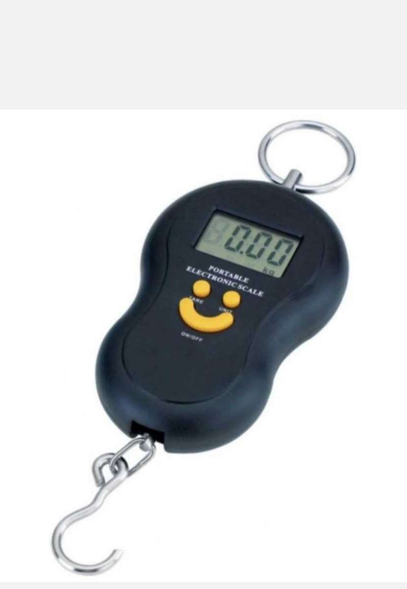 50kg portable scale