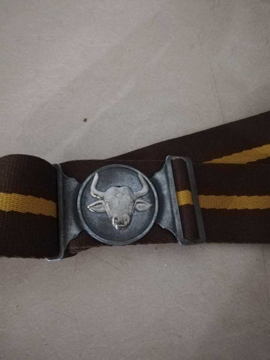 116 Batallion stable belt