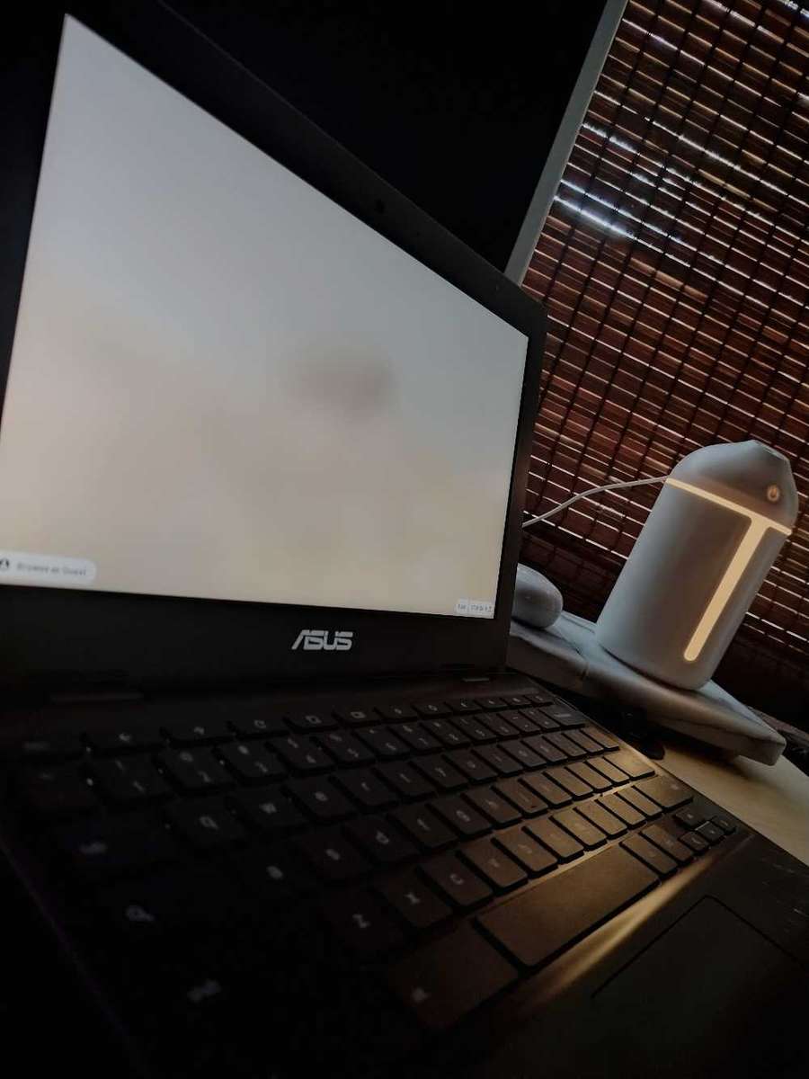 Asus chromebook C204M