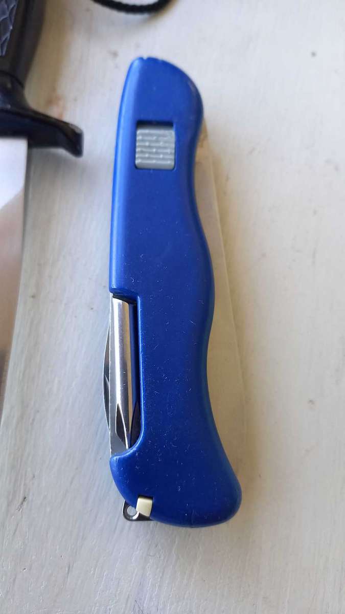 Knife Lot Victorinox Helmsman and unmarked dagger