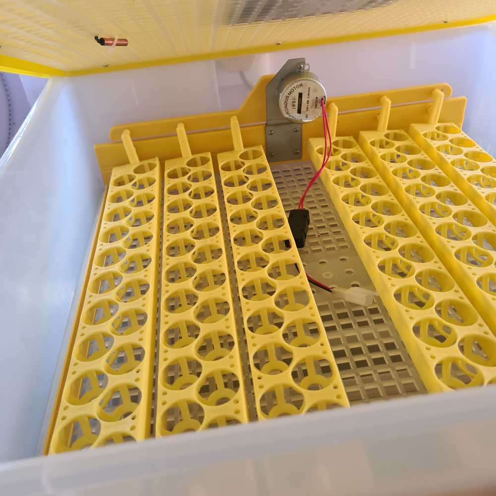 56 Egg Incubator + 12 Volt (Poultry business)