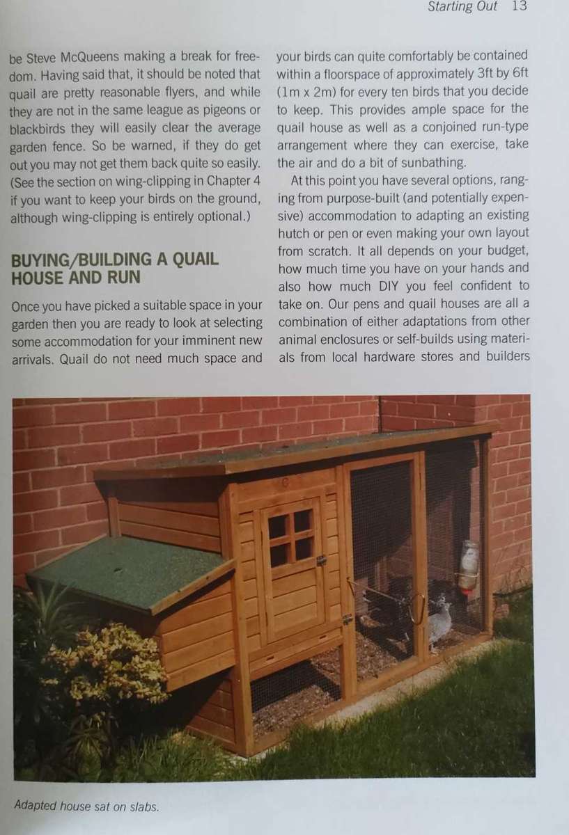 Practical Quailkeeping