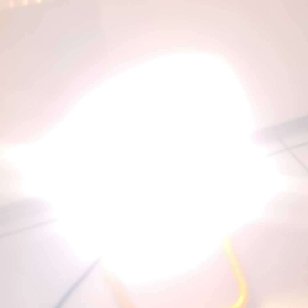 Eurolux Security Light with sensor