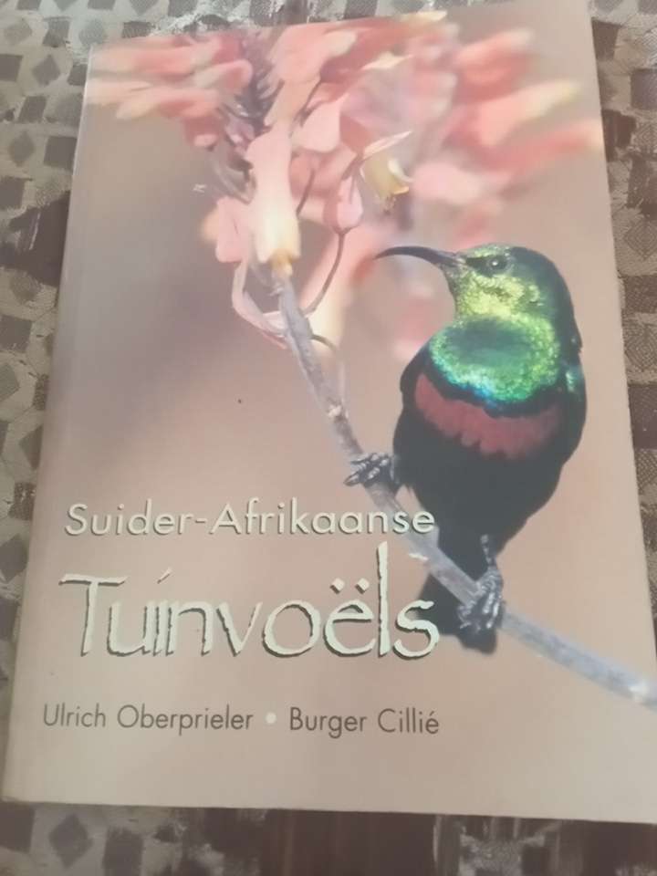 Suider Afrikaanse tuin voëls