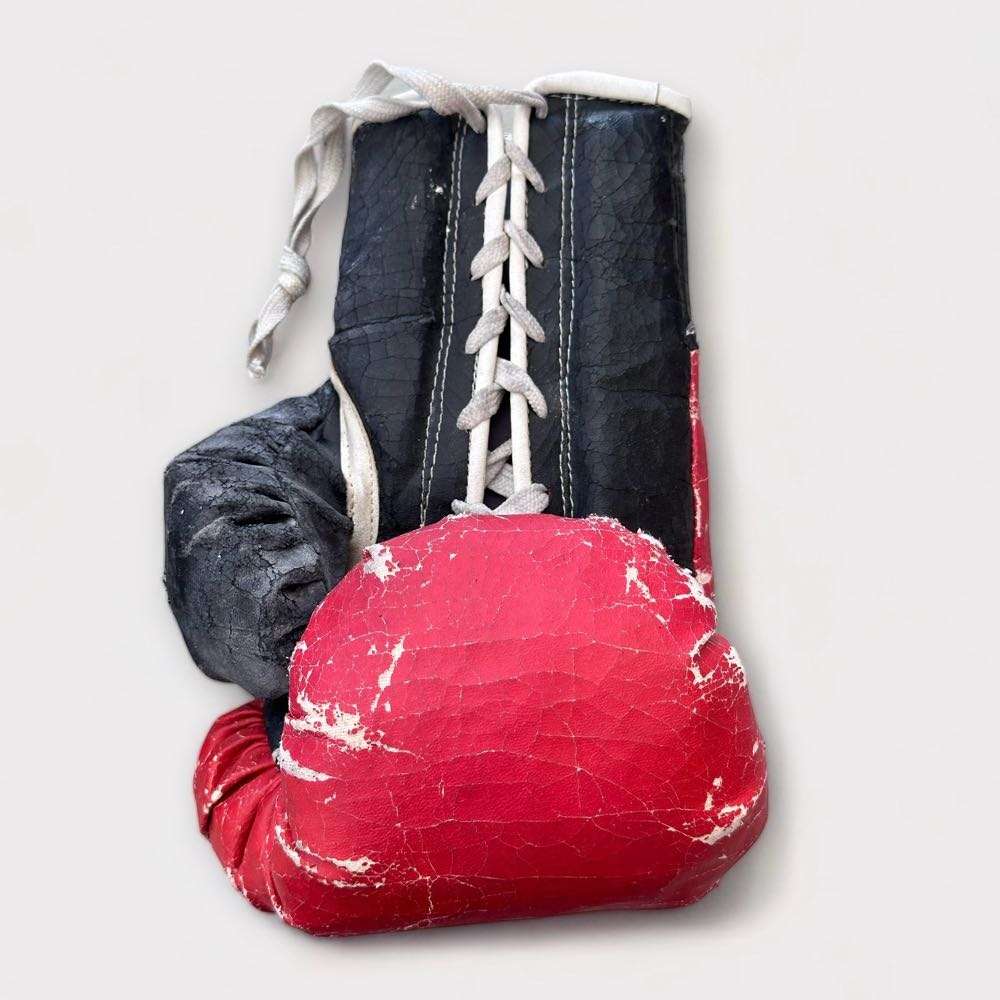 Vintage Autographed Boxing Gloves (Includes Jacob `Baby Jake` Matlala)