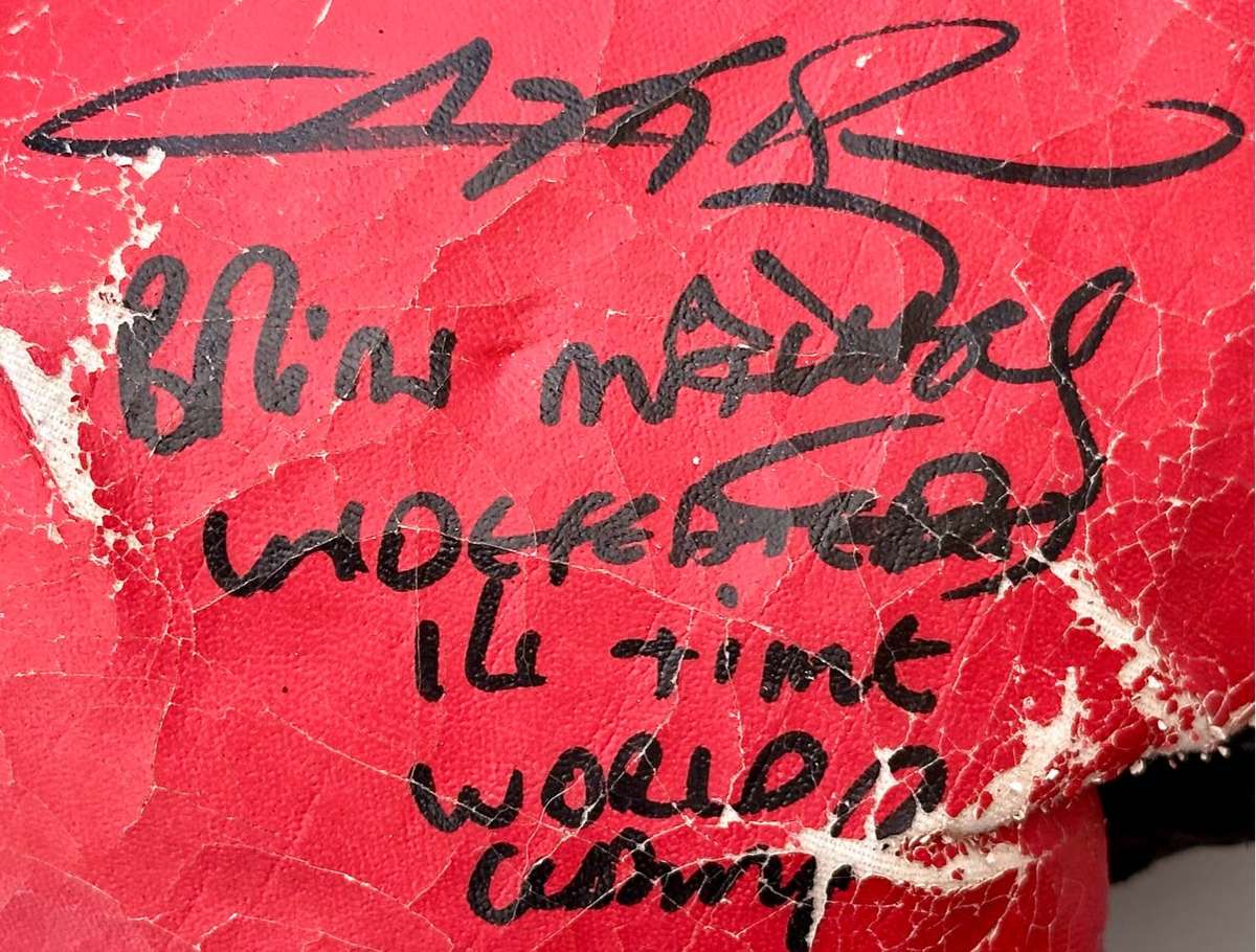 Vintage Autographed Boxing Gloves (Includes Jacob `Baby Jake` Matlala)