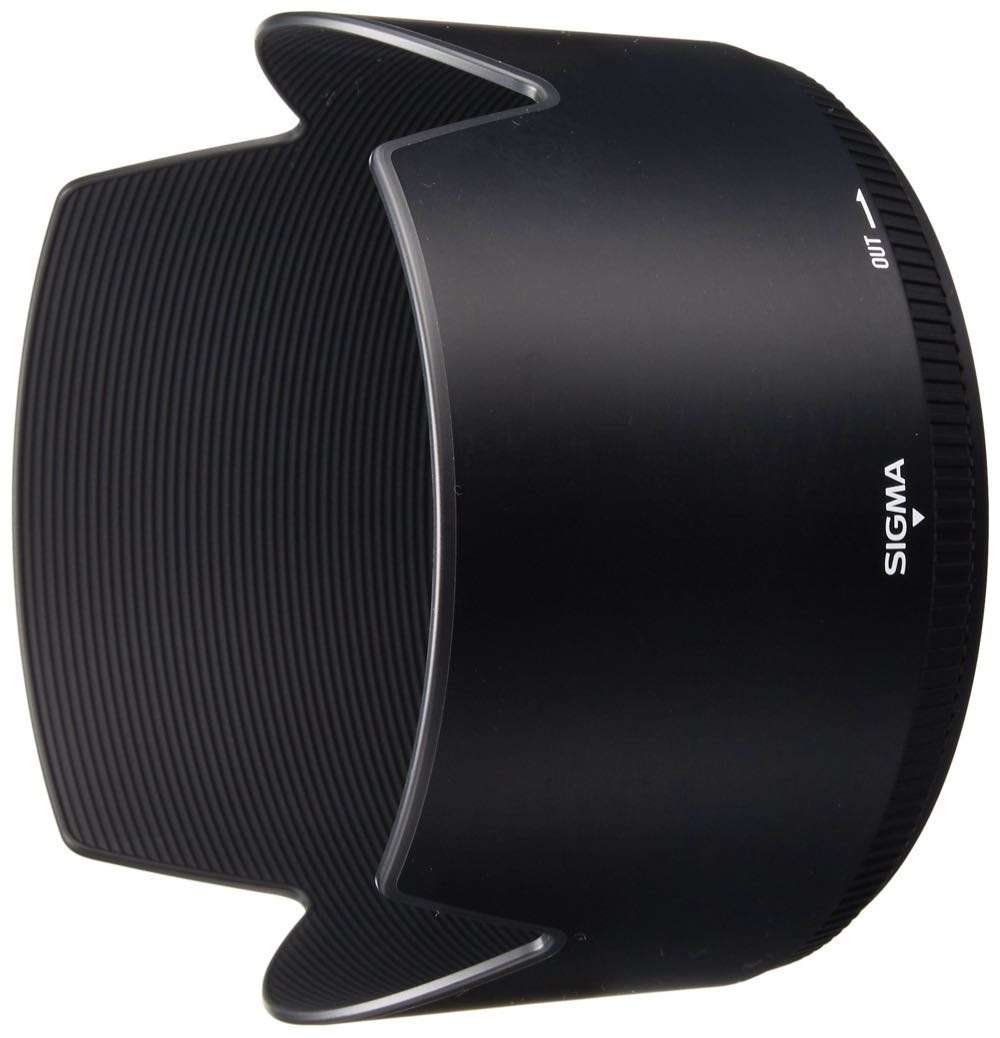 Nikon DSLR body + Sigma 50-500mm f/4-6.3 EX DG HSM APO + NIKON D70S Dslr