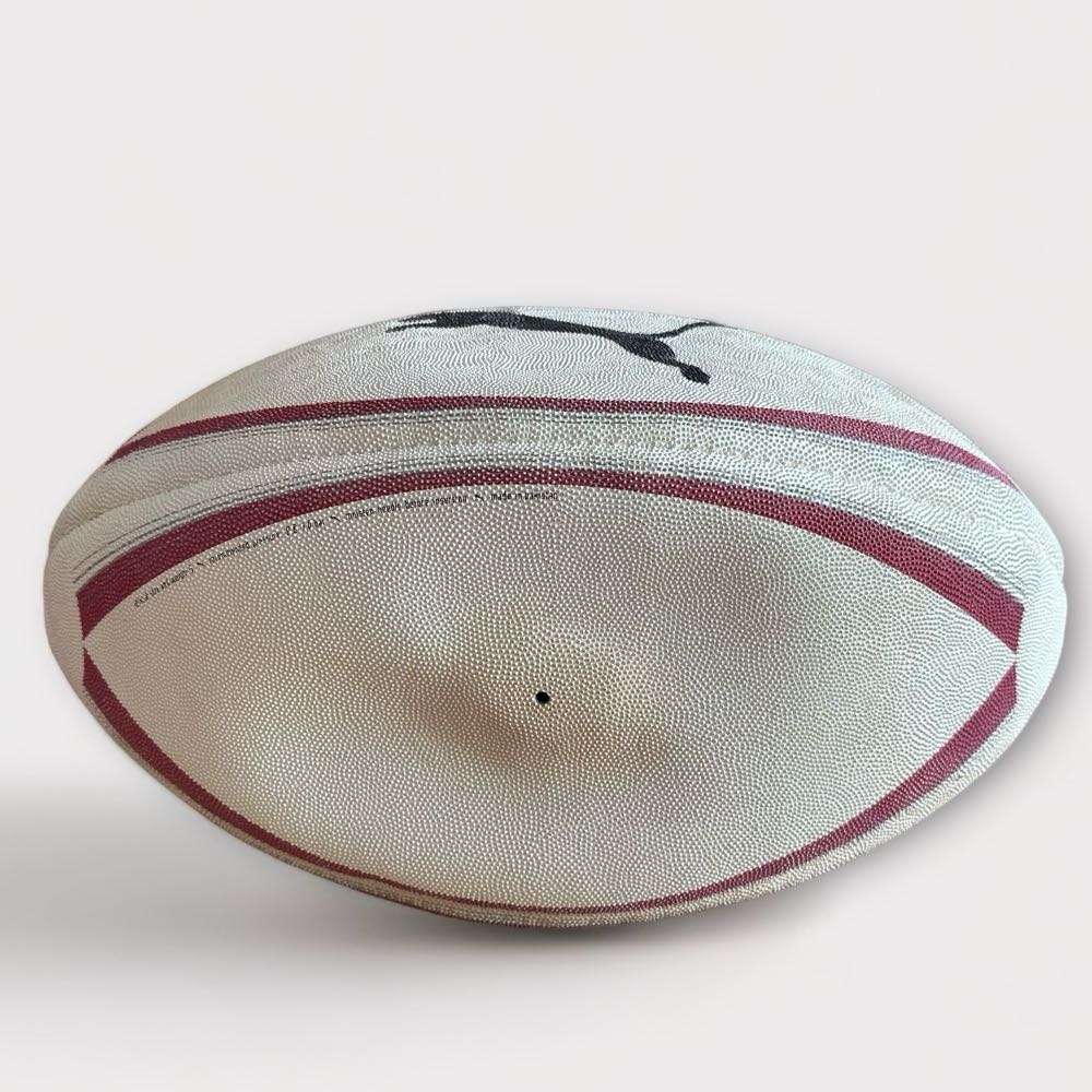 Autographed Springboks & All Blacks Rugby Balls