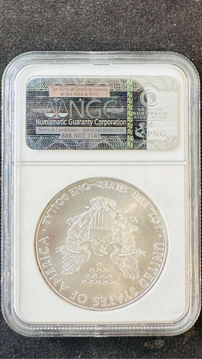 Eagle 2010 Pure Solid Silver MS69