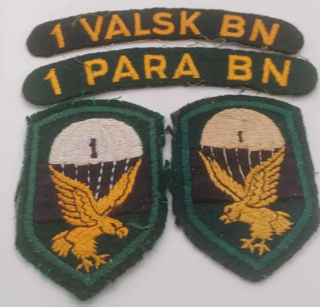Origional 1 Parachute insignia from Kol. Leon Groenewald in good Condition