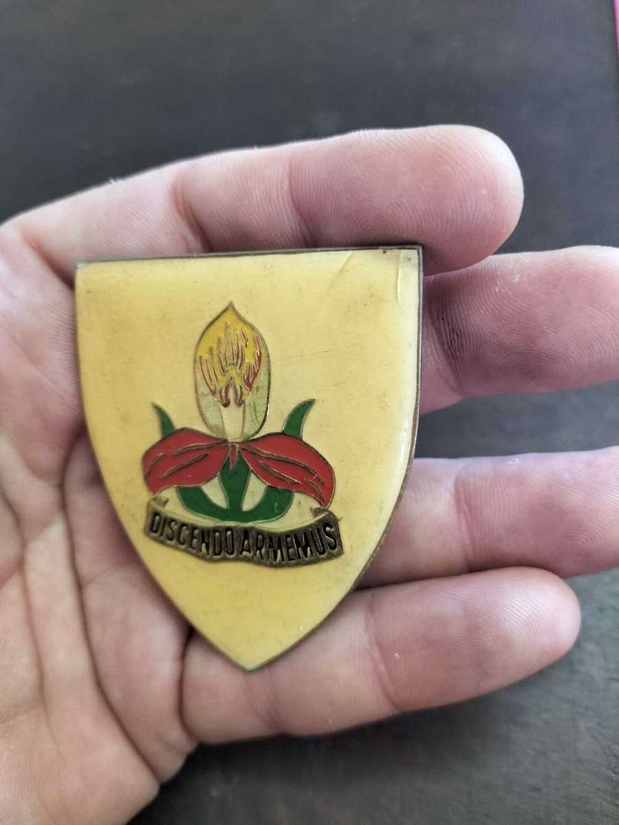 SA Army Military Academy Flash